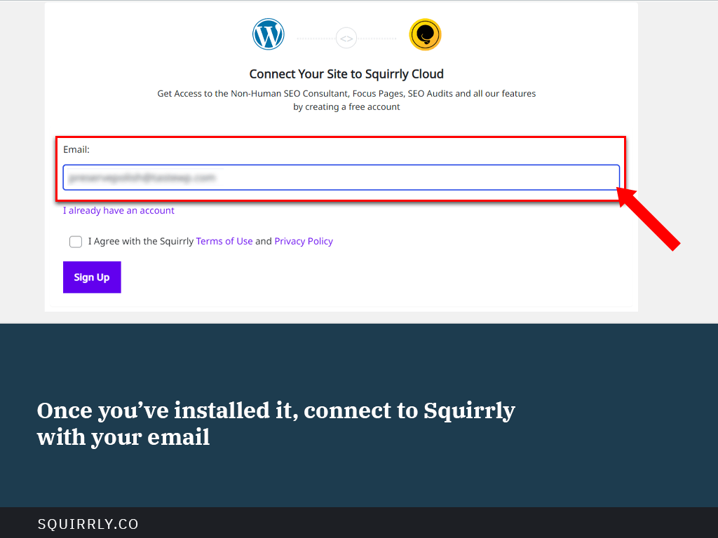 Install-Squirrly-SEO-8